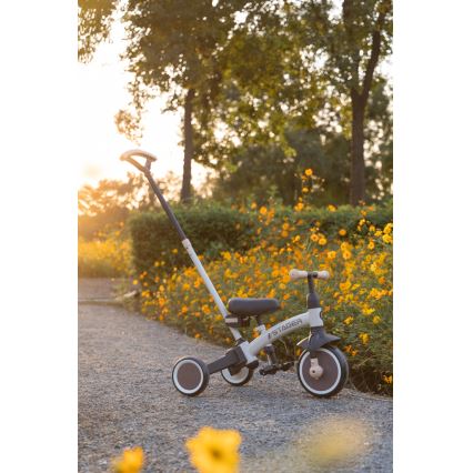 QPlay - Children's 3-in-1 Tricycle STAGER Black