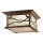 Quintiesse - MORRIS Outdoor Ceiling Light 2x E27/60W/230V IP44, Bronze