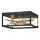 Quintiesse - STYX LED Ceiling Light 8W/230V, Black/Gold