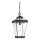 Quoizel - Outdoor chandelier on a chain RAVINE 1xE27/60W/230V IP23 brown