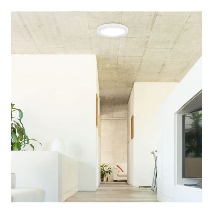 Rabalux - LED Ceiling light with sensor LED/18W/230V 4000K 22,5 cm