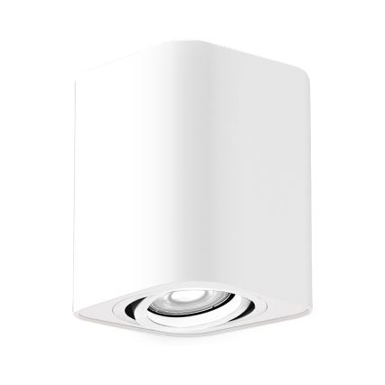 Rabalux - Spotlight 1xGU10/42W/230V white