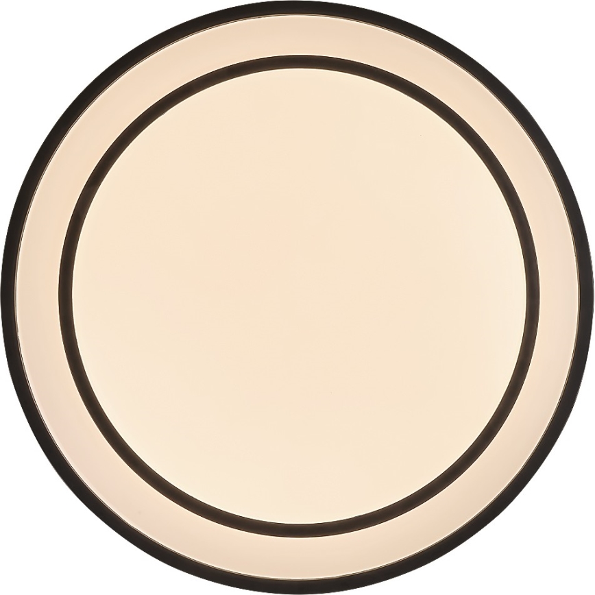 Rabalux - Dimmable LED ceiling light LED/40W/230V 3000-6500K black Ø 49 cm + remote control