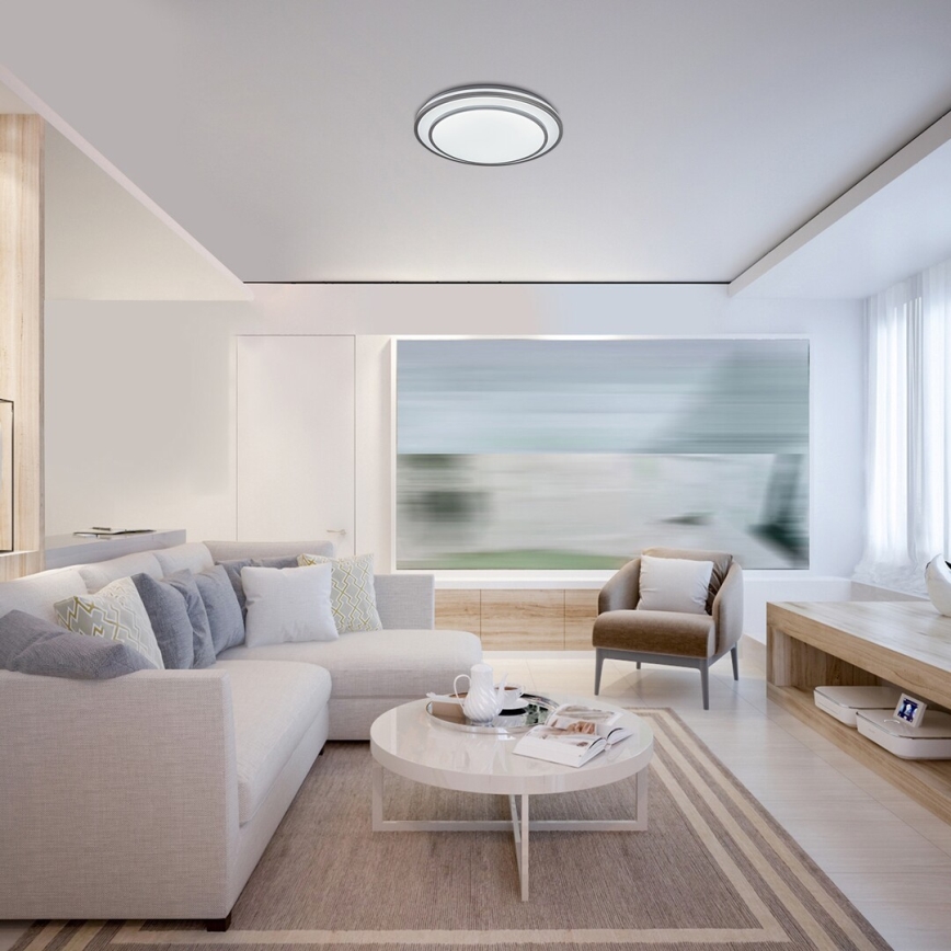 Rabalux - LED Dimmable ceiling light LED/40W/230V 3000-6500K silver + remote control