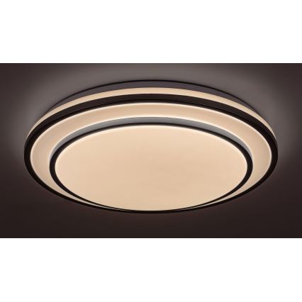 Rabalux - Dimmable LED Ceiling Light LED/40W/230V 3000-6500K Silver, Ø 49 cm + Remote Control