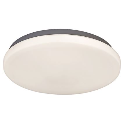 Rabalux 2284 - LED ceiling light ROB 1xLED/20W/230V