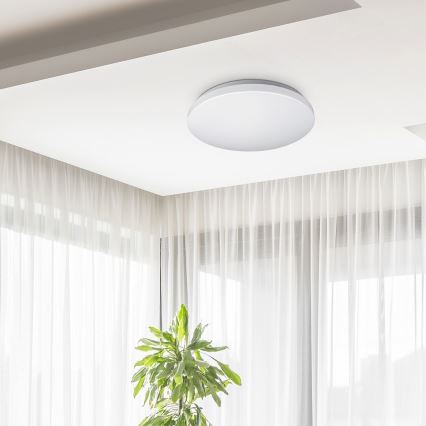 Rabalux 2285 - LED ceiling light ROB 1xLED/32W/230V
