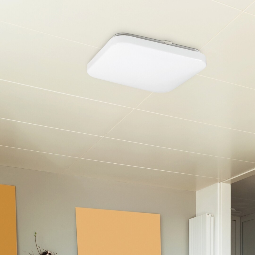 Rabalux 2286 - LED ceiling light ROB 1xLED/20W/230V