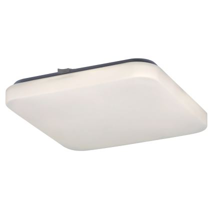 Rabalux 2286 - LED ceiling light ROB 1xLED/20W/230V