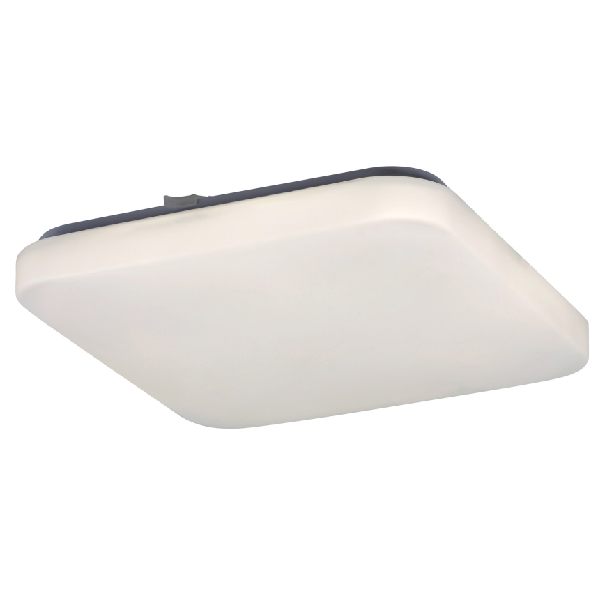 Rabalux 2286 - LED ceiling light ROB 1xLED/20W/230V