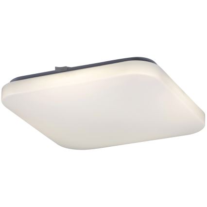 Rabalux 2287 - LED ceiling light ROB 1xLED/32W/230V