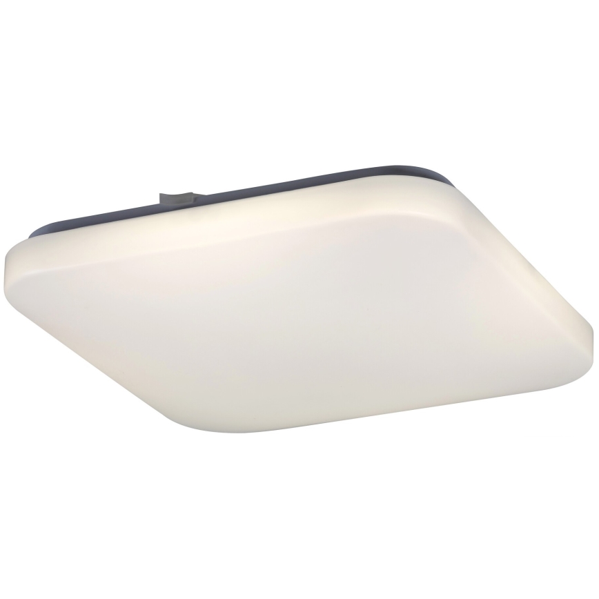 Rabalux 2287 - LED ceiling light ROB 1xLED/32W/230V