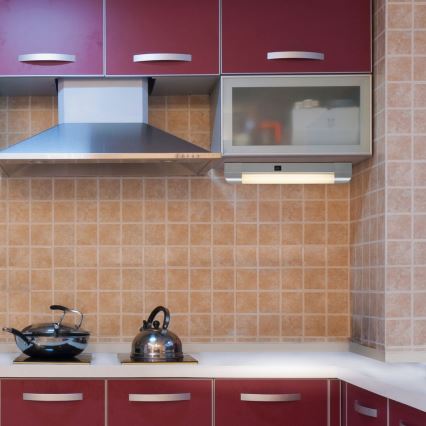 Rabalux - Under kitchen cabinet light BAND LIGHT 1xG13/10W/230V 39,5 cm silver