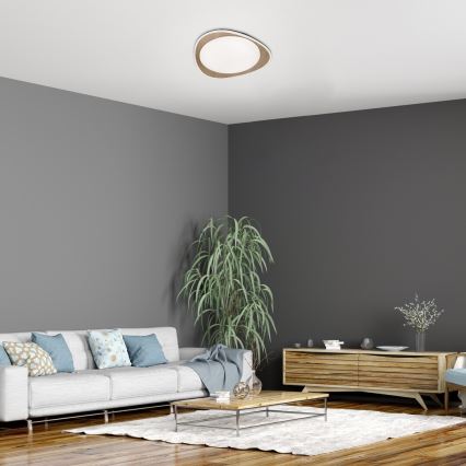 Rabalux - LED Ceiling light LED/24W/230V