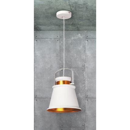 Rabalux 2571 - Pendant light DUSAN E27/40W