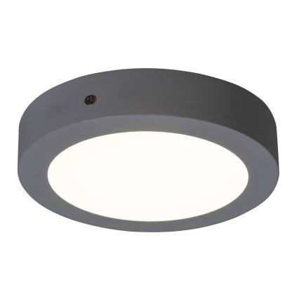 Rabalux - LED Ceiling light LED/12W/230V