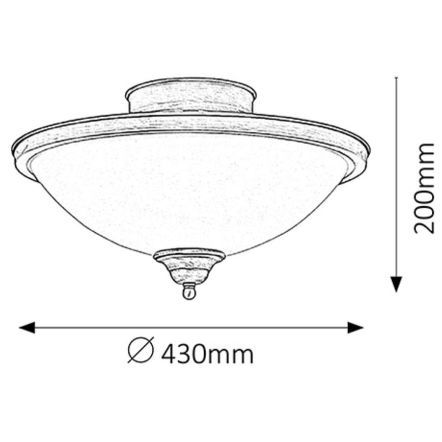 Rabalux - Ceiling light 2xE14/40W/230V