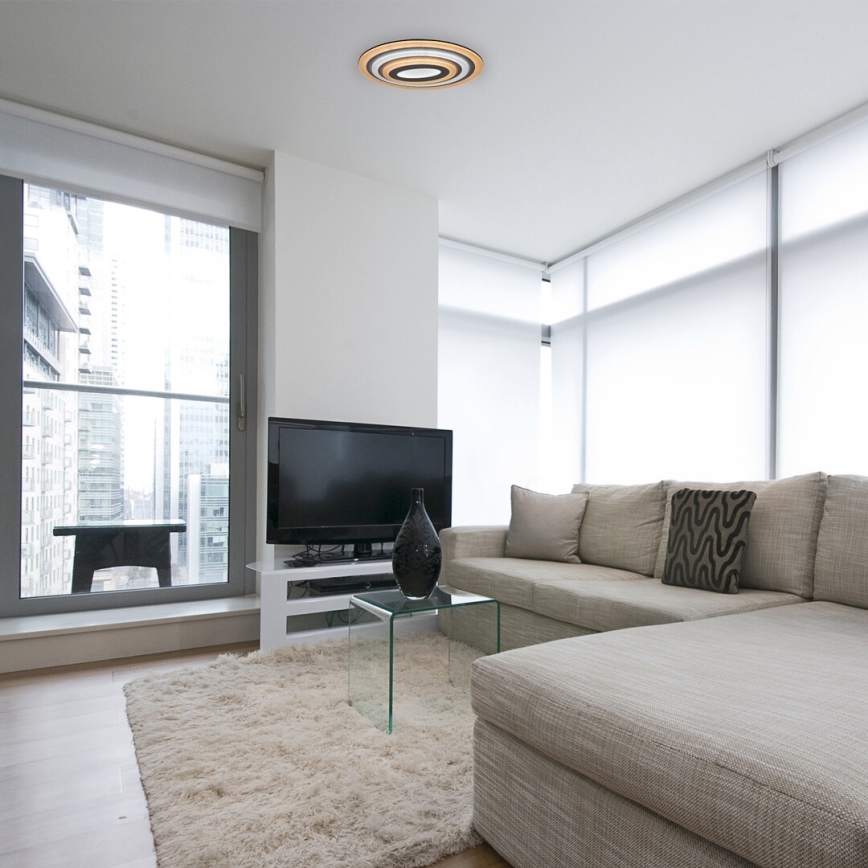 Rabalux - LED Dimmable ceiling light LED/41W/230V + remote control