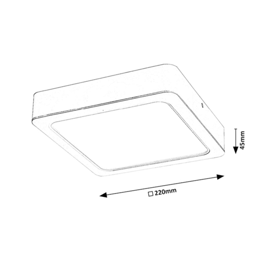 Rabalux - LED Ceiling light LED/24W/230V 22x22 cm