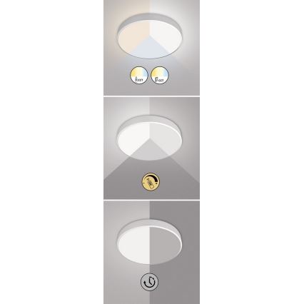 Rabalux - LED Dimmable ceiling light LED/60W/230V 60 cm + remote control