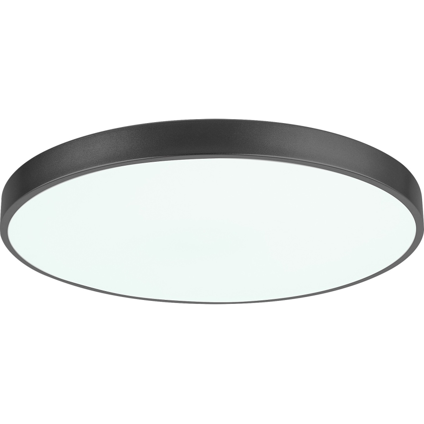 Rabalux - LED Dimmable ceiling light LED/60W/230V 60 cm + remote control