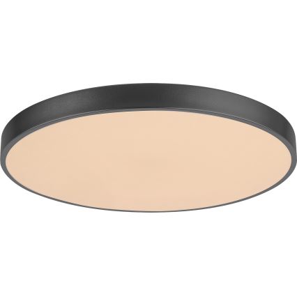 Rabalux - LED Dimmable ceiling light LED/60W/230V 60 cm + remote control