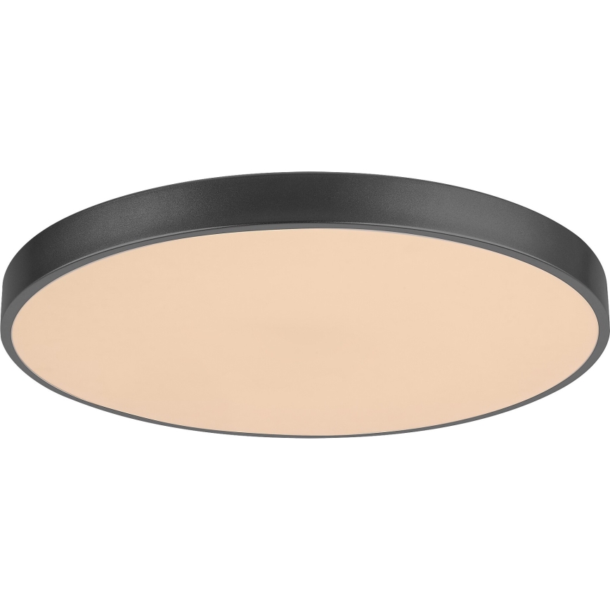 Rabalux - LED Dimmable ceiling light LED/60W/230V 60 cm + remote control