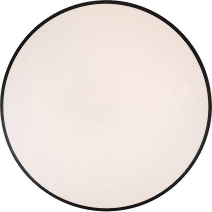 Rabalux - LED Dimmable ceiling light LED/60W/230V 60 cm + remote control