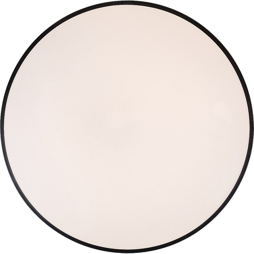 Rabalux - LED Dimmable ceiling light LED/60W/230V 60 cm + remote control