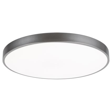 Rabalux - LED Dimmable ceiling light LED/60W/230V 60 cm + remote control