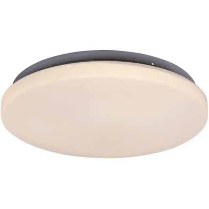 Rabalux - LED Ceiling light 1xLED/20W/230V d. 29 cm