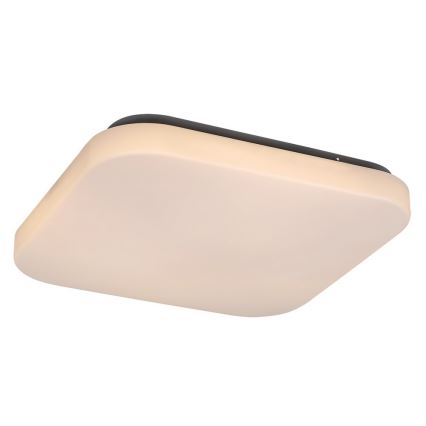 LED ceiling light ROB LED/20W/230V