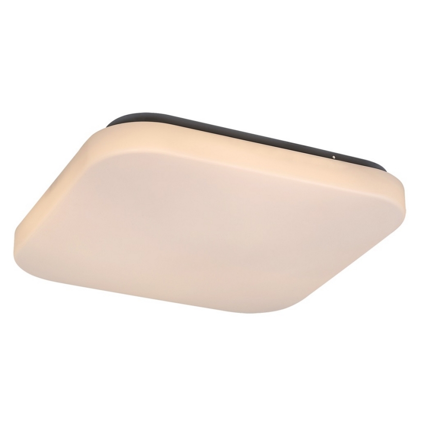 LED ceiling light ROB LED/20W/230V