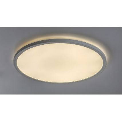 LED Dimming ceiling light PAVEL LED/22W/230V