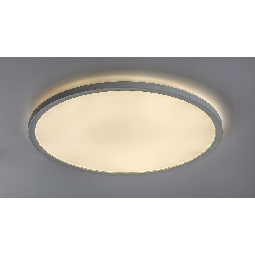 LED Dimming ceiling light PAVEL LED/22W/230V