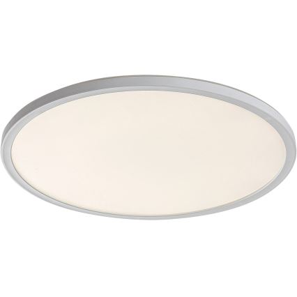 LED Dimming ceiling light PAVEL LED/22W/230V