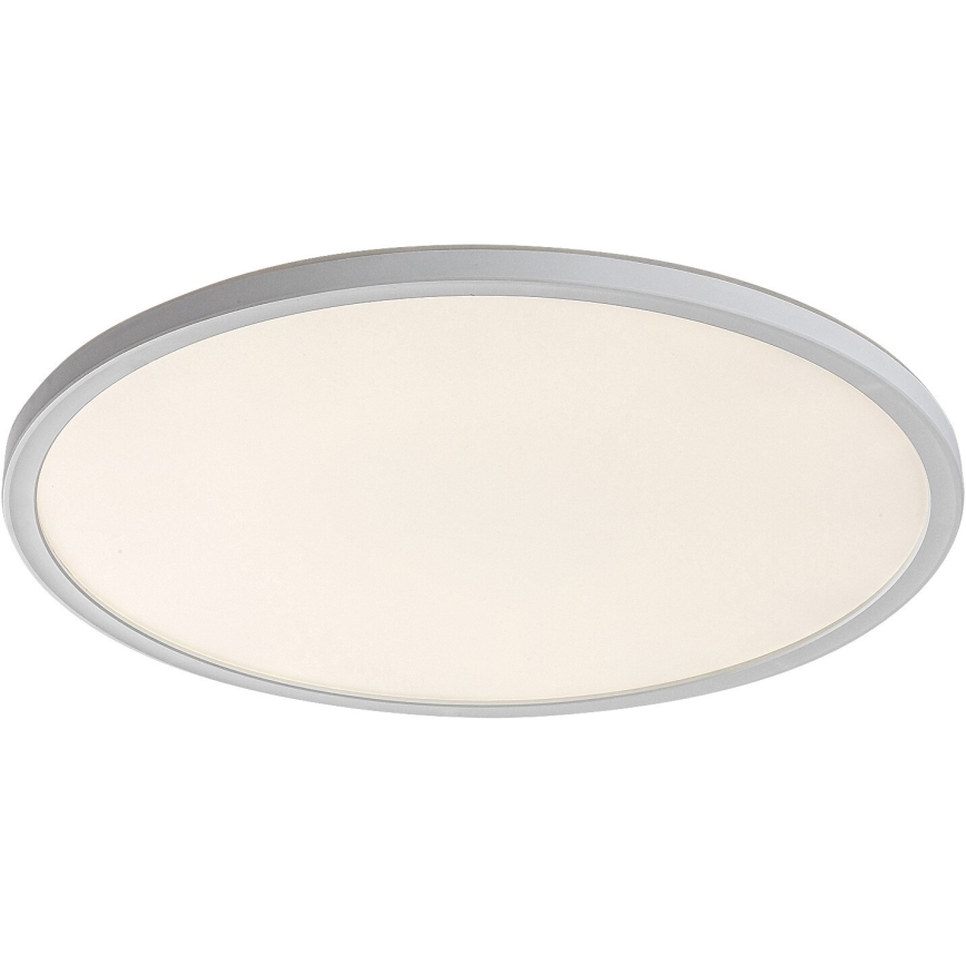 LED Dimming ceiling light PAVEL LED/22W/230V