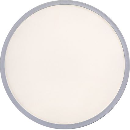 LED Dimming ceiling light PAVEL LED/22W/230V