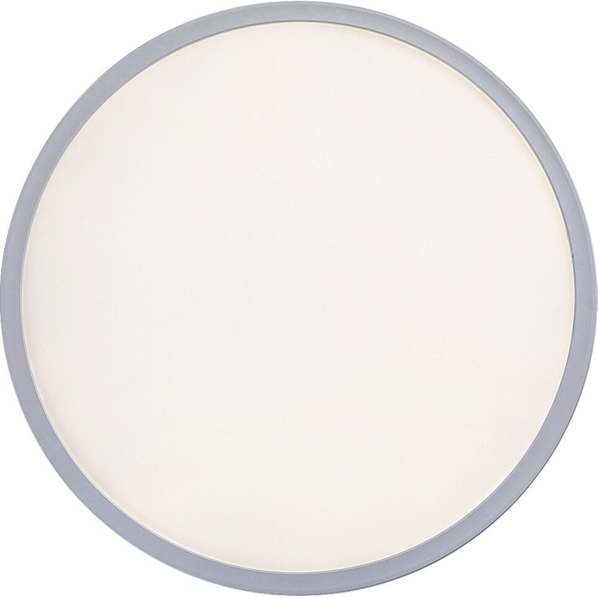 LED Dimming ceiling light PAVEL LED/22W/230V