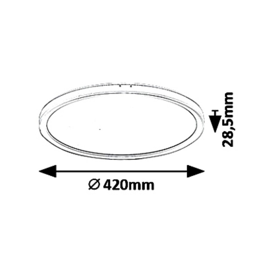 LED Dimming ceiling light PAVEL LED/22W/230V
