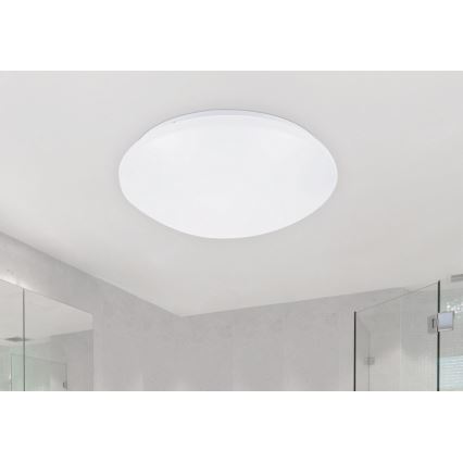 Rabalux - LED Ceiling light 1xLED/24W/230V