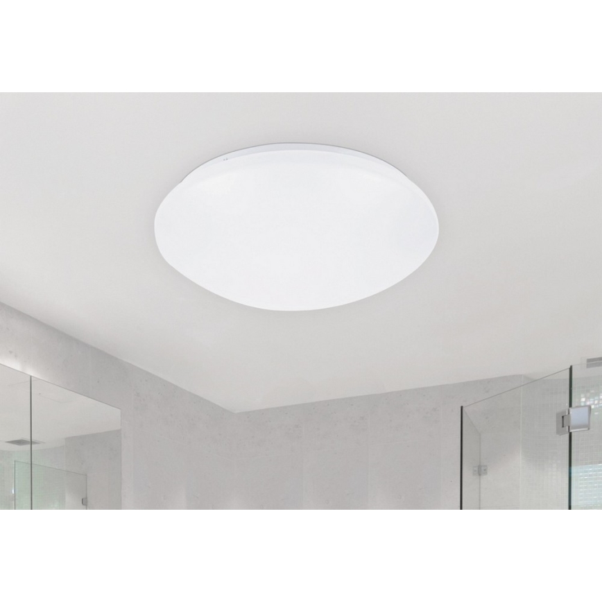 Rabalux - LED Ceiling light 1xLED/24W/230V