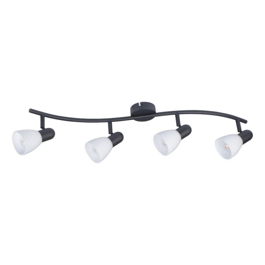 Rabalux - 4-Light Spotlight 4xE14/40W/230V