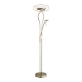 Rabalux 4078 - Replacement glass for floor lamp GAMMA R7s big