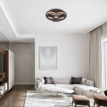 Rabalux 5050 - LED Dimming ceiling light CAPRIANA LED/18W/230V