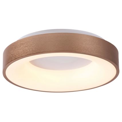 Rabalux - LED Ceiling light CARMELA LED/50W/230V