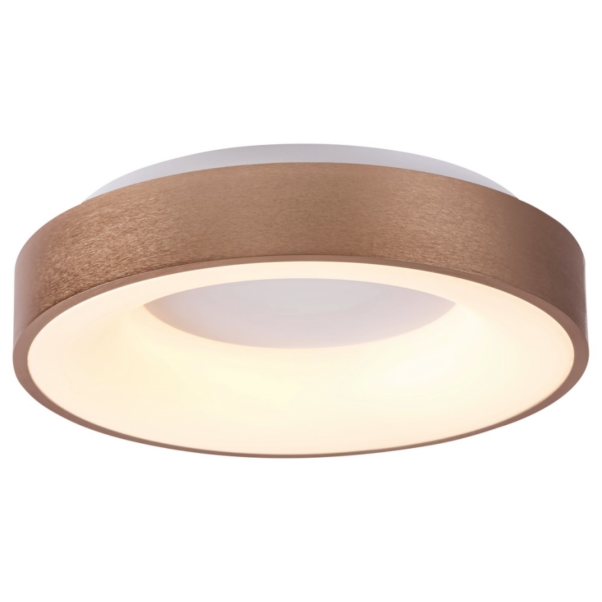 Rabalux - LED Ceiling light CARMELA LED/50W/230V