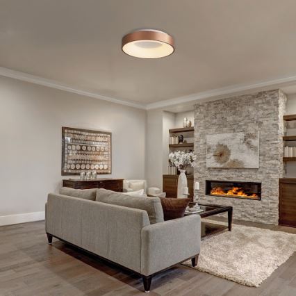 Rabalux - LED Ceiling light CARMELA LED/50W/230V