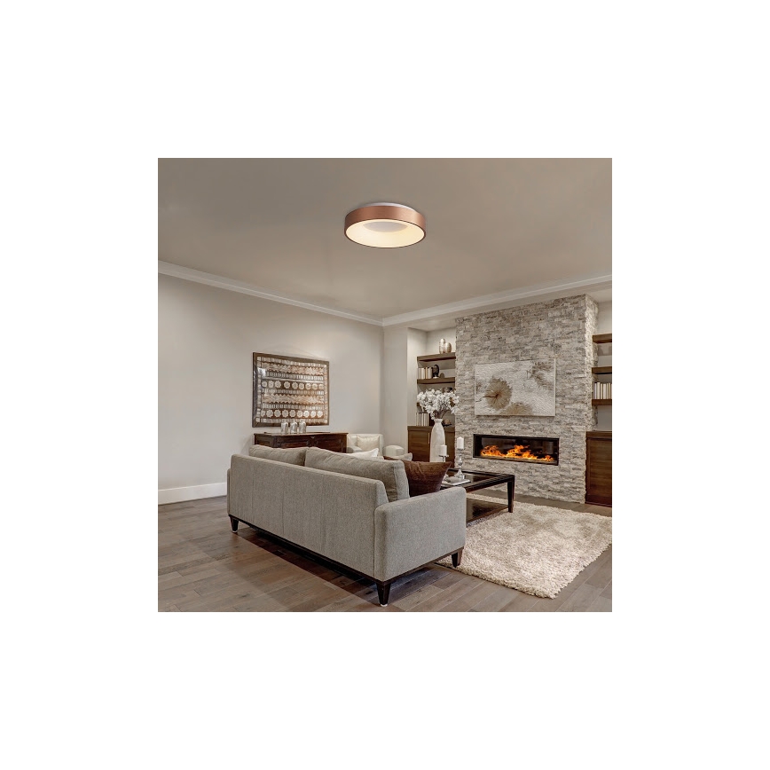 Rabalux - LED Ceiling light CARMELA LED/50W/230V