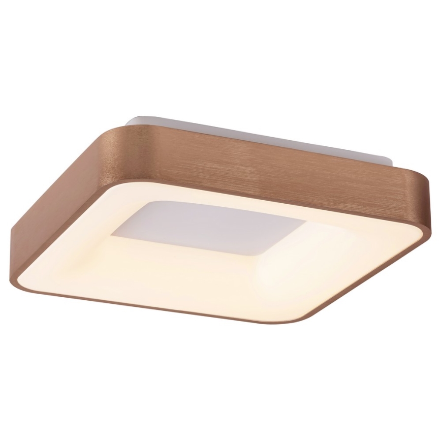 Rabalux - LED Ceiling light CARMELA LED/30W/230V 40x40 cm